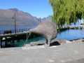 Queenstown Kiwi 1